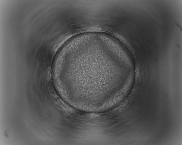 X0000100861212200807111245