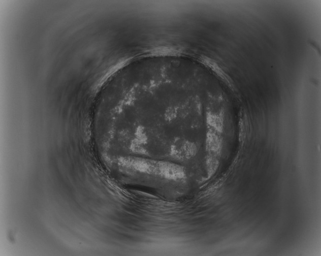 X0000100861213200807111245