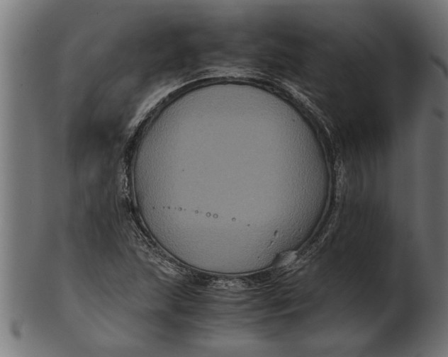 X0000100861215200807111245