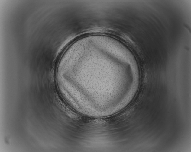 X0000100861216200807111245