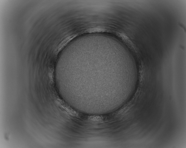 X0000100861217200807111245