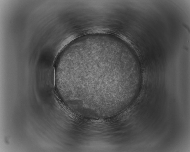 X0000100861219200807111245