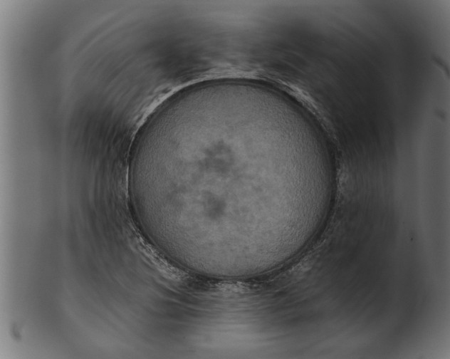 X0000100861220200807111245