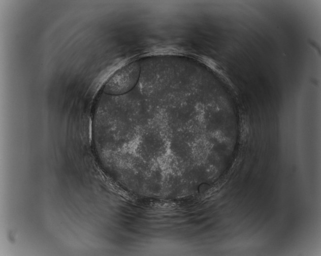 X0000100861221200807111245