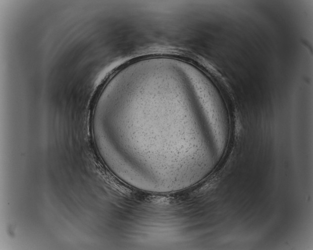 X0000100861222200807111245