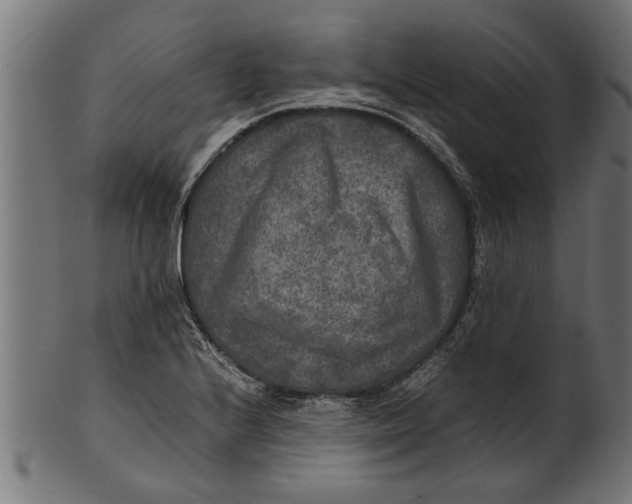 X0000100861224200807111245