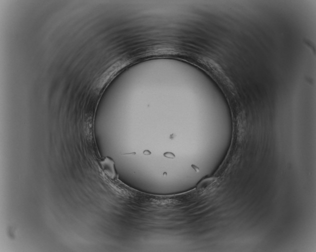 X0000100861225200807111245