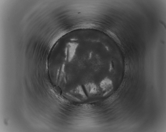 X0000100861226200807111245