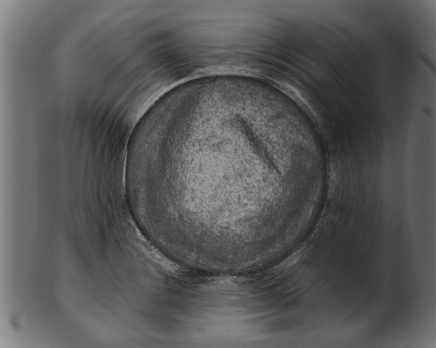 X0000100861228200807111245