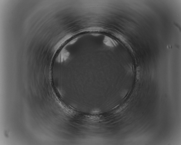 X0000100861229200807111245