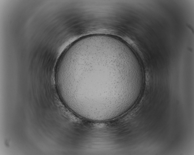 X0000100861230200807111245