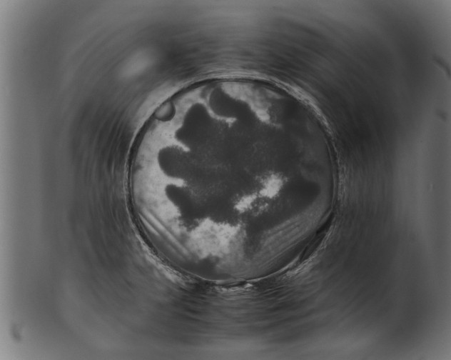 X0000100861231200807111245