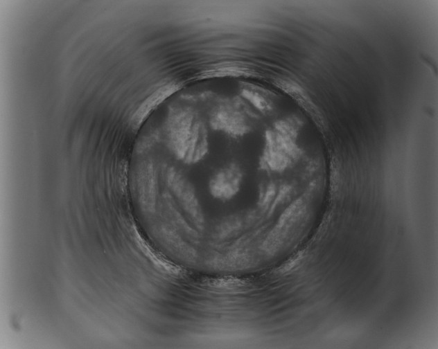 X0000100861233200807111245