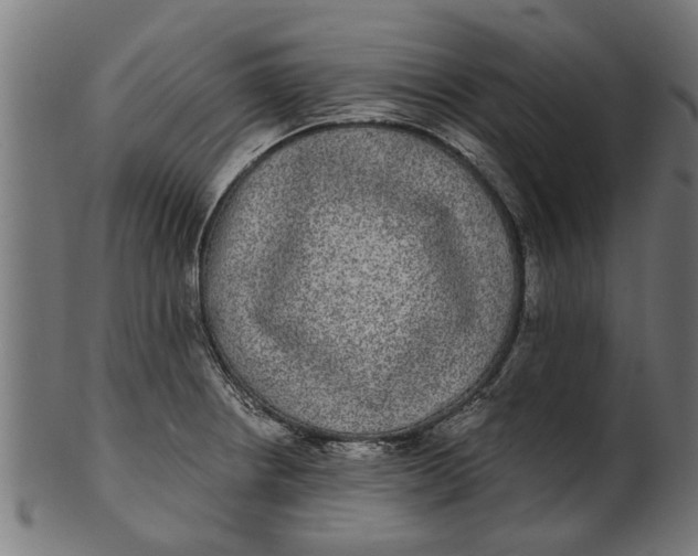 X0000100861234200807111245