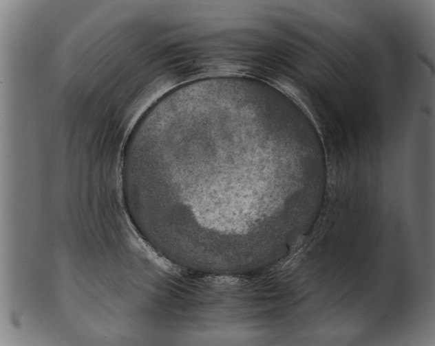 X0000100861235200807111245