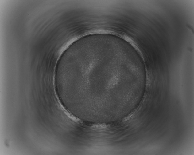 X0000100861237200807111245