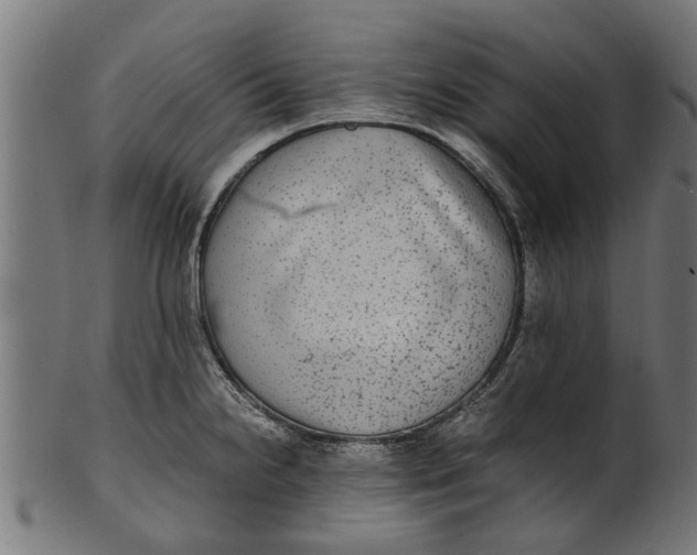 X0000100861238200807111245