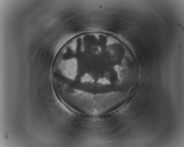 X0000100861239200807111245