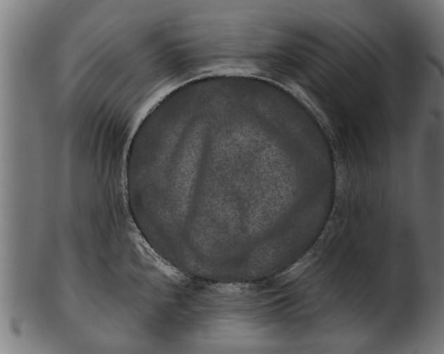 X0000100861240200807111245