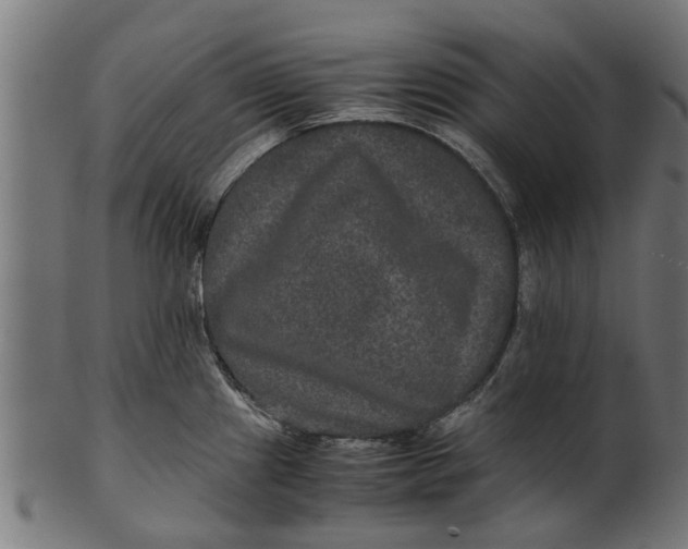 X0000100861241200807111245