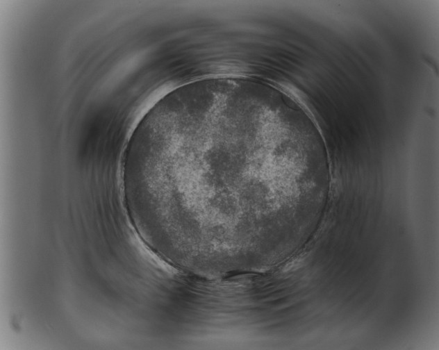 X0000100861243200807111245