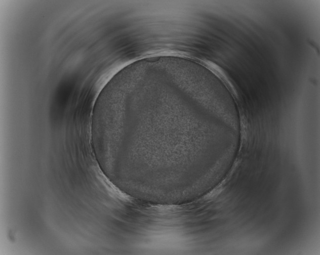 X0000100861244200807111245