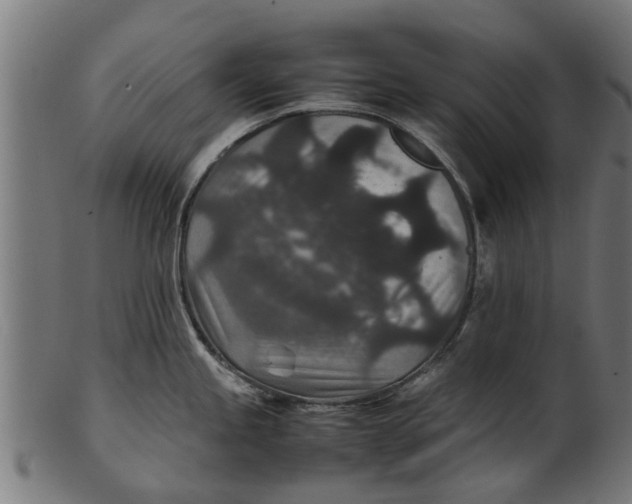 X0000100861245200807111245