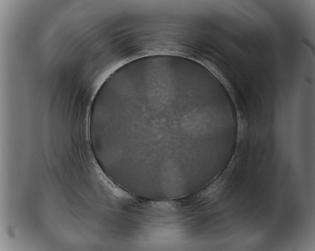 X0000100861246200807111245