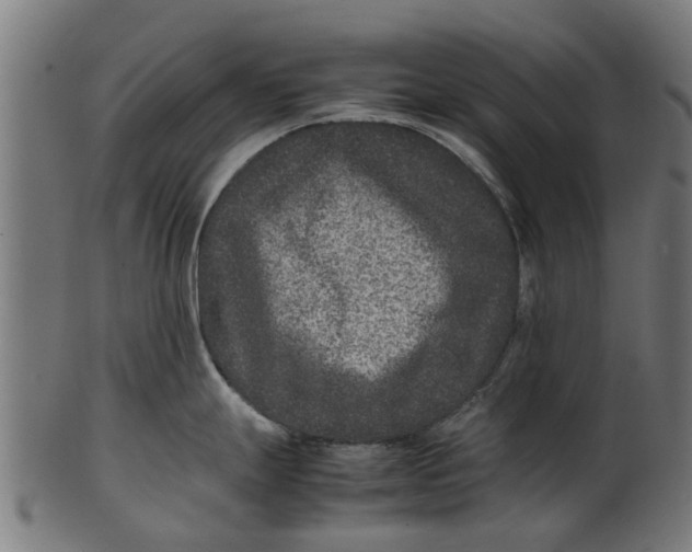 X0000100861247200807111245