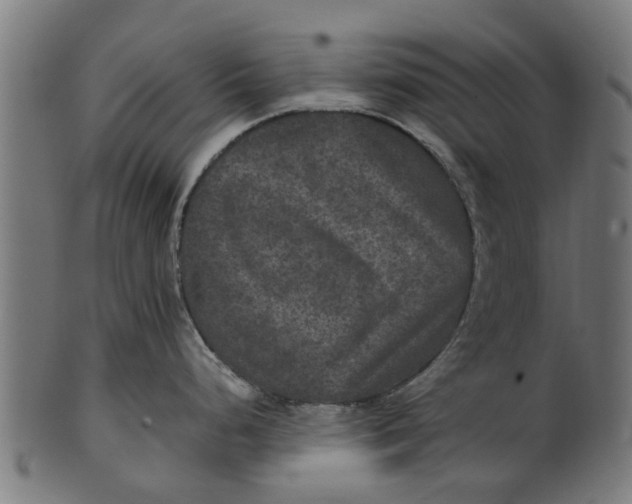 X0000100861248200807111245