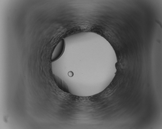 X0000100861249200807111244