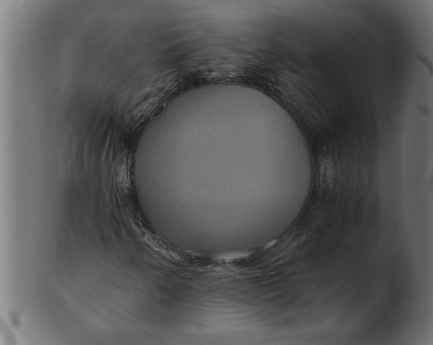 X0000100861250200807111244