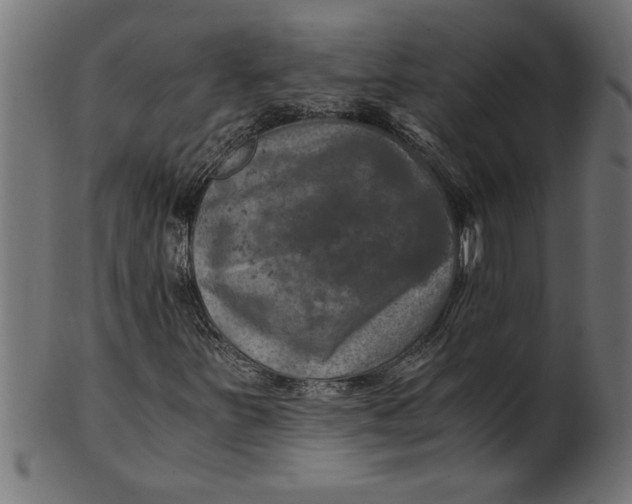 X0000100861251200807111244