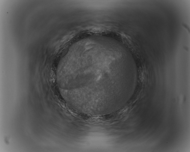 X0000100861253200807111244