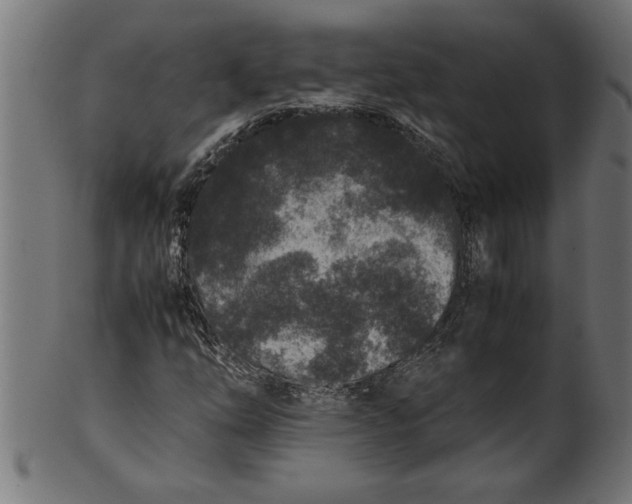 X0000100861254200807111244