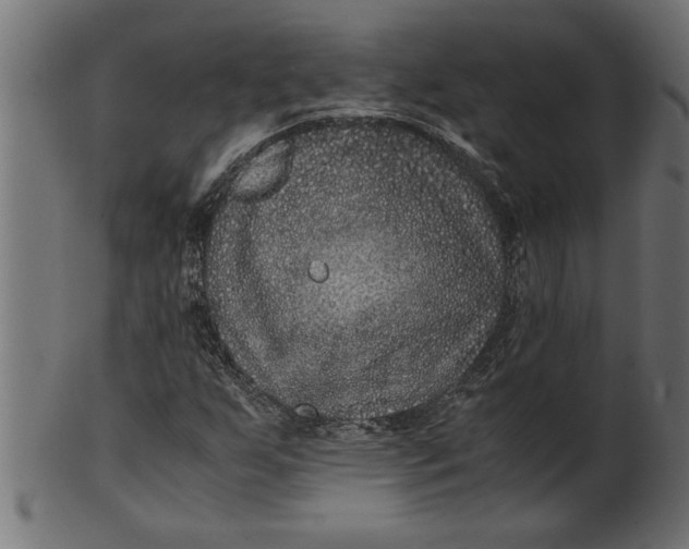 X0000100861255200807111244