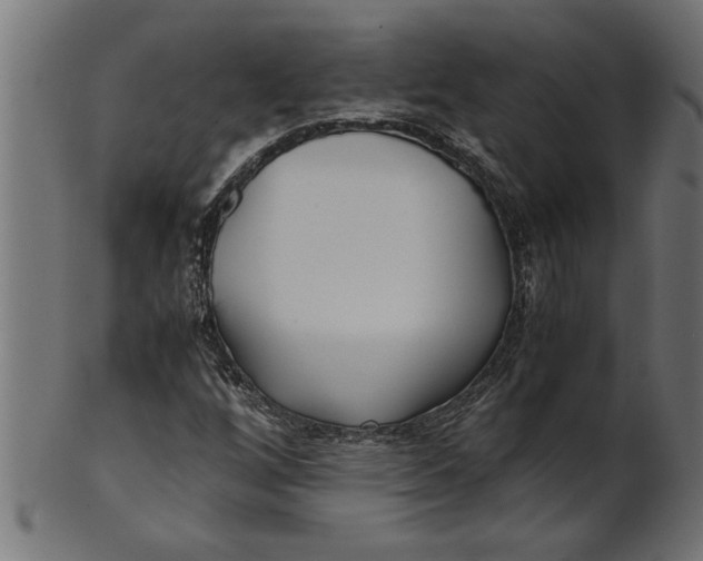 X0000100861256200807111244