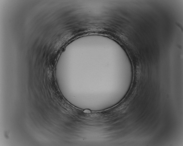 X0000100861257200807111244