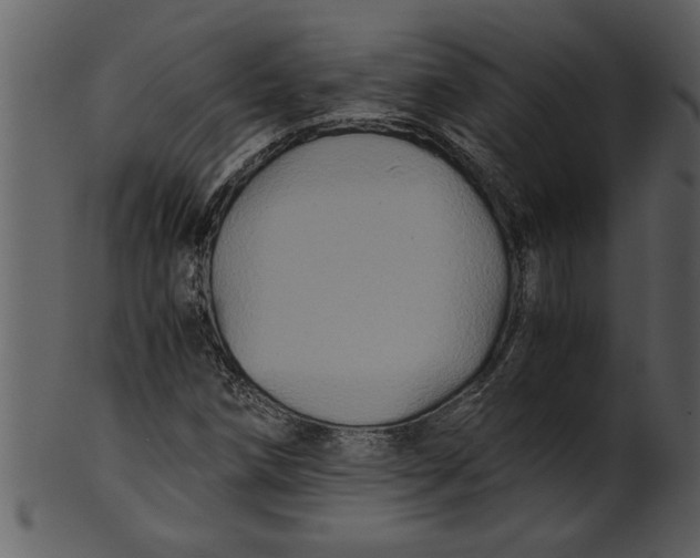 X0000100861258200807111244