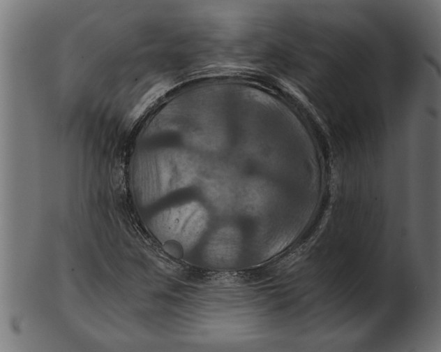 X0000100861259200807111244