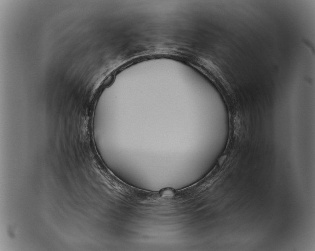 X0000100861260200807111244