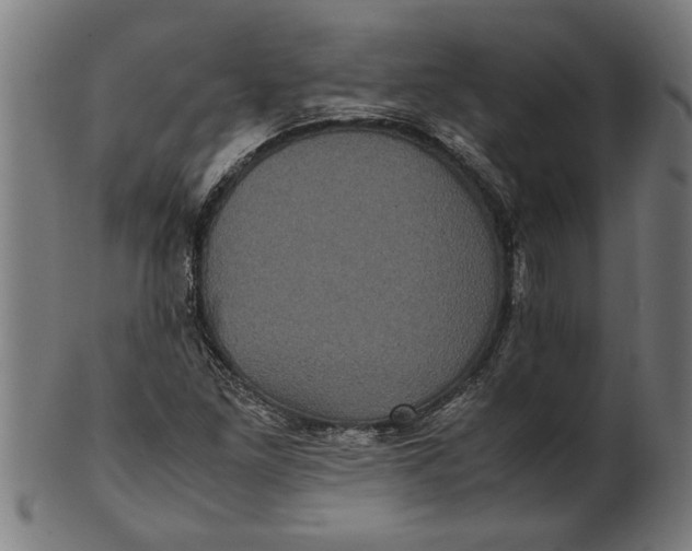 X0000100861261200807111244