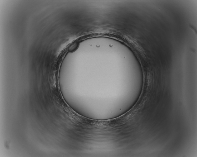 X0000100861262200807111244