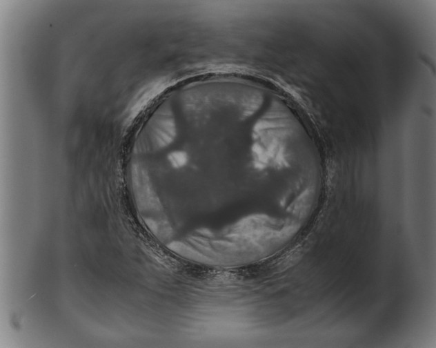 X0000100861263200807111244