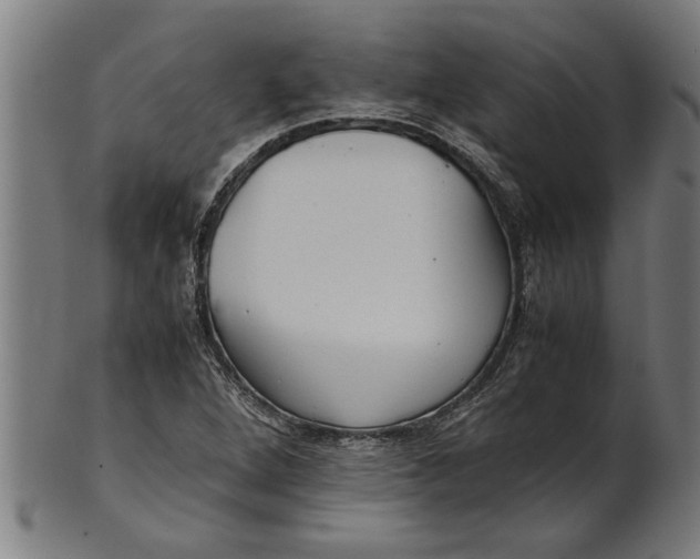 X0000100861264200807111244