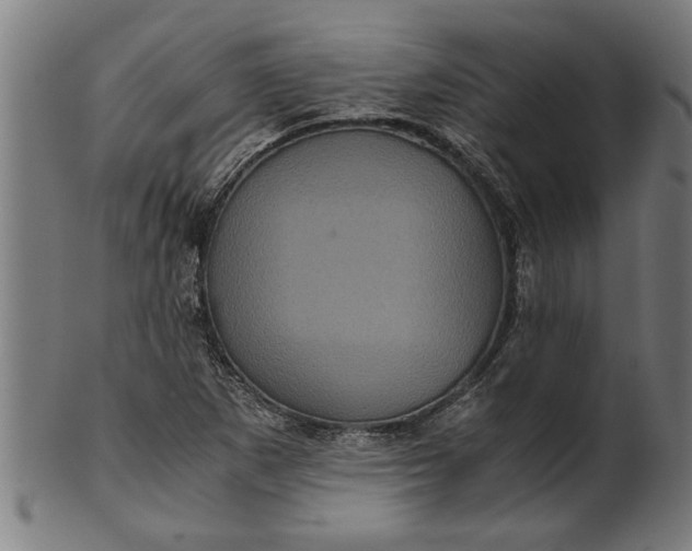 X0000100861265200807111244