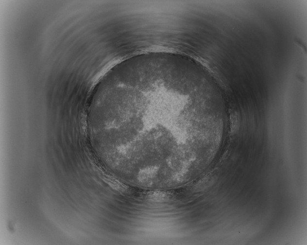 X0000100861266200807111244