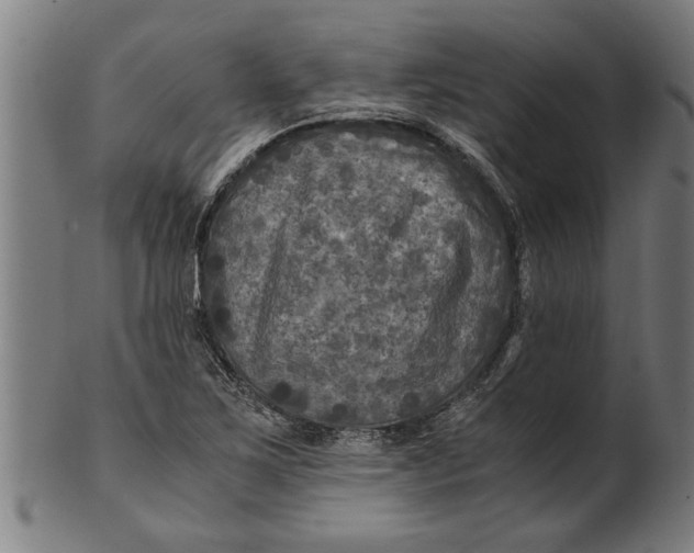 X0000100861267200807111244