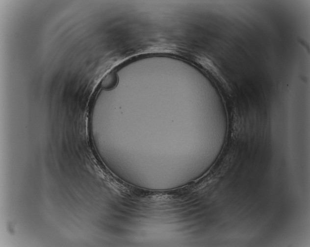 X0000100861268200807111244