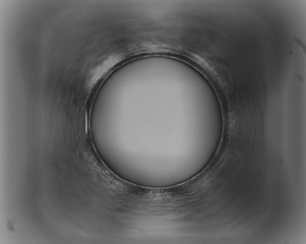 X0000100861269200807111244